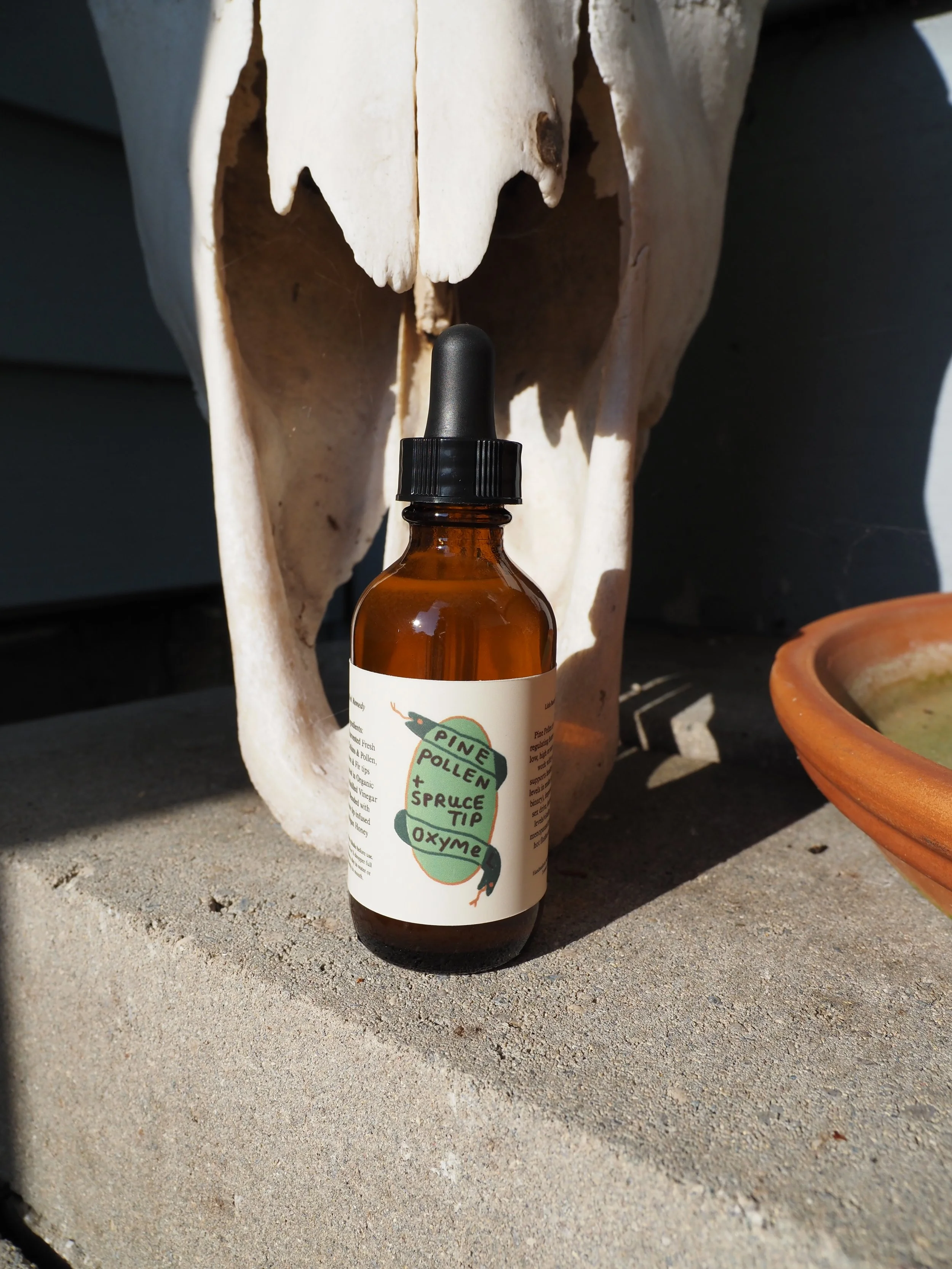 BUY 1 GET 1 FREE Pine Pollen Oxymel