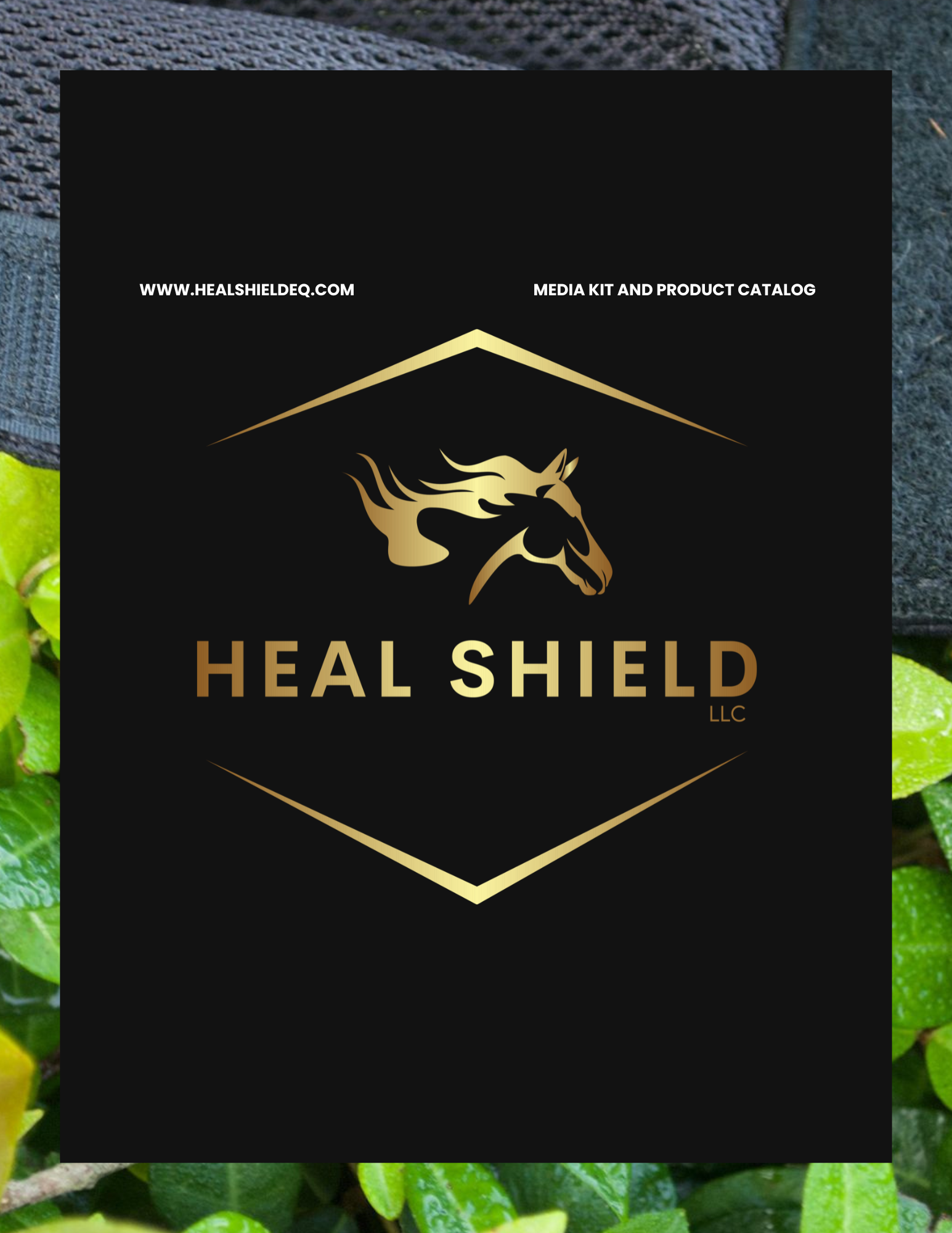 Black and gold logo for Heal Shield LLC featuring a stylized horse head with flowing mane, a mountain in the background, and the website URL www.healshieldeq.com with the text Media Kit and Product Catalog.