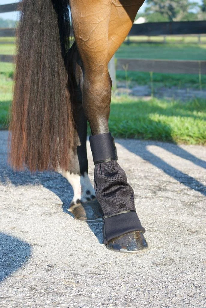 heal shield hind boot 2 image.jpg