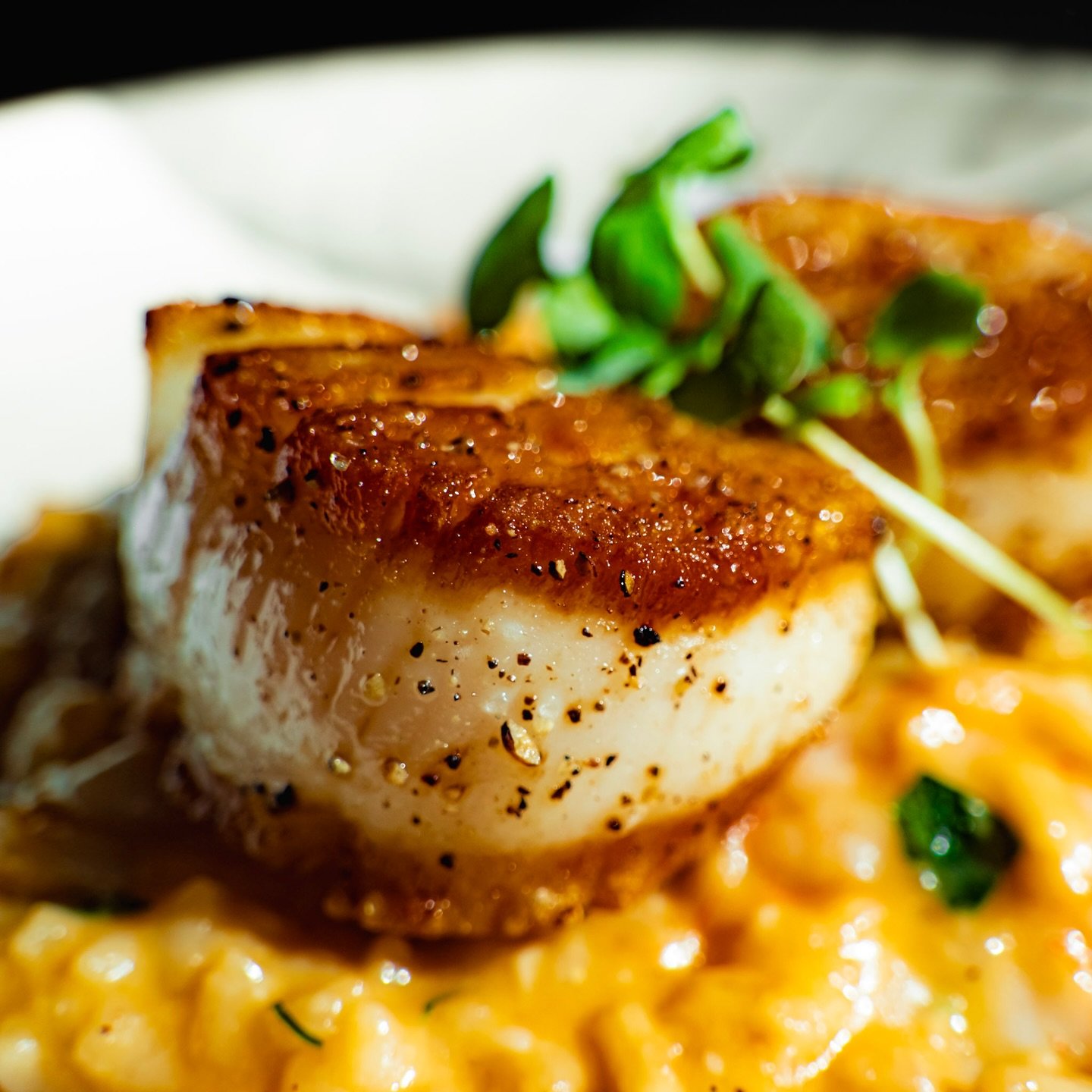 Picture a bowl of rich and creamy risotto. 
It is decadent and it is piping hot.
Full of scallops seared to perfection, with a delicate texture, lightly golden brown. 
The shrimp are crisp, tender and lightly briney. 
We hope you&rsquo;re hungry. 

?