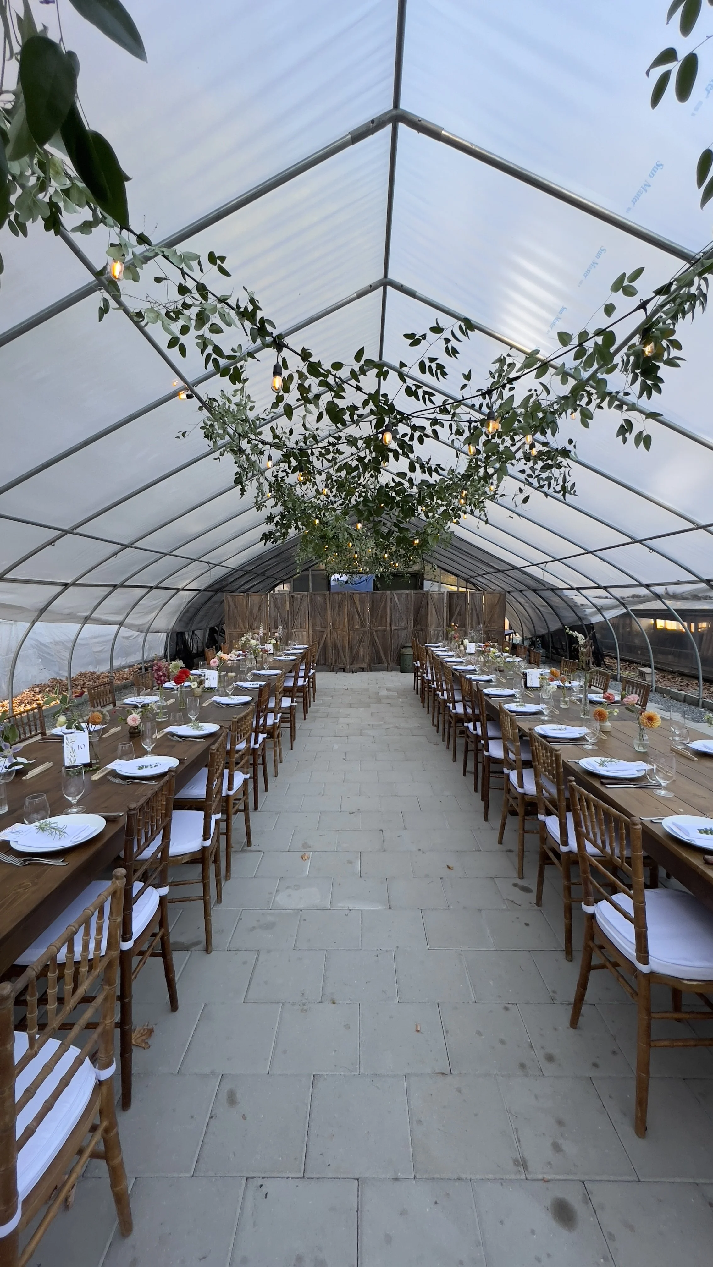 Long dining tables set with plates, glasses, and silverware inside a greenhouse with string lights and hanging greenery.