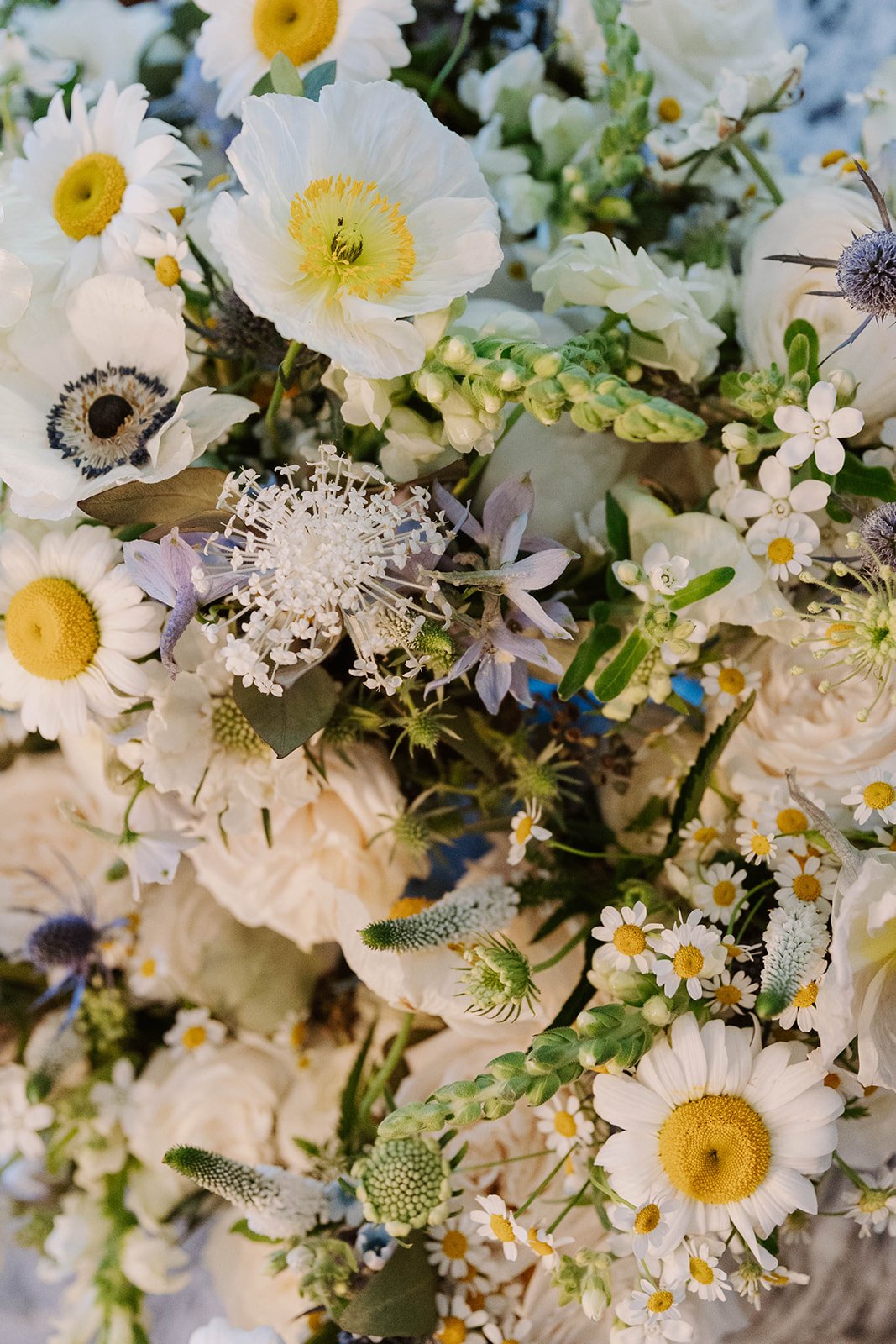 A close-up of a bouquet of white, yellow, and purple flowers, including daisies, poppies, and other small blooms.