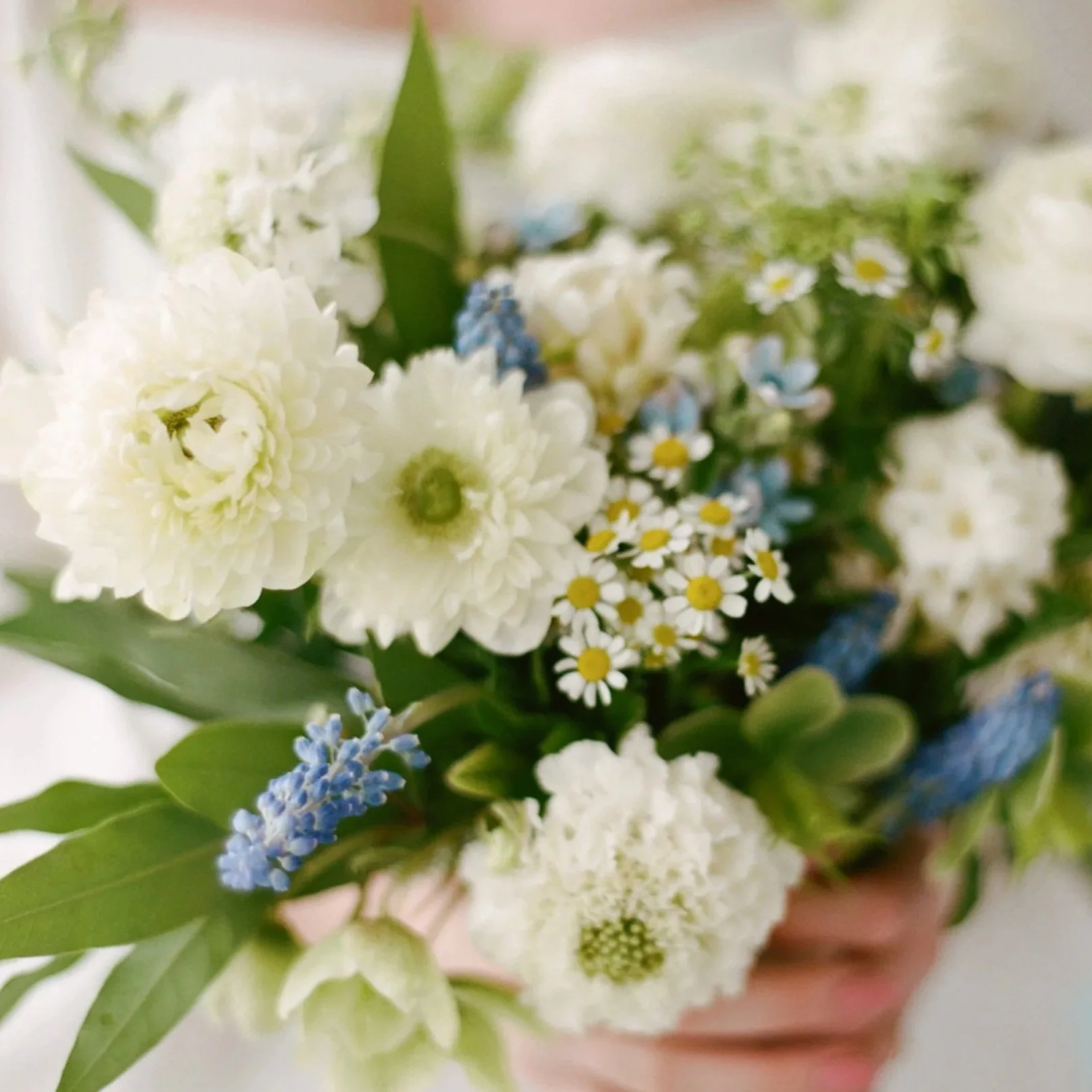 Close-up of a bouquet with white, blue, and yellow flowers in a pink vase.