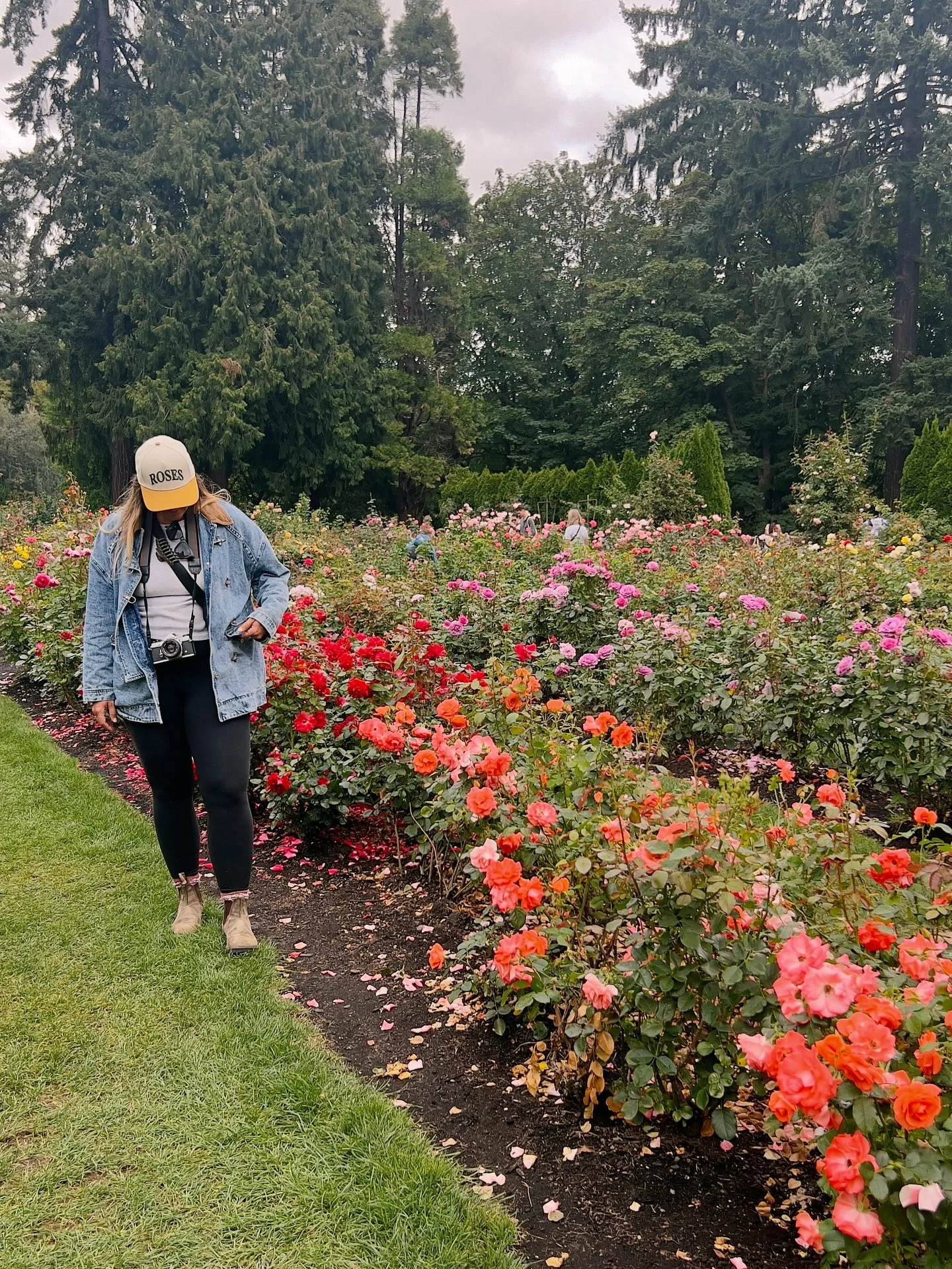 Back from Oregon with a stop in Portland&mdash;the City of Roses 🌹 

Home to the oldest rose test garden in the U.S., with 10,000+ bushes and over 600 varieties. A florist&rsquo;s dream!!