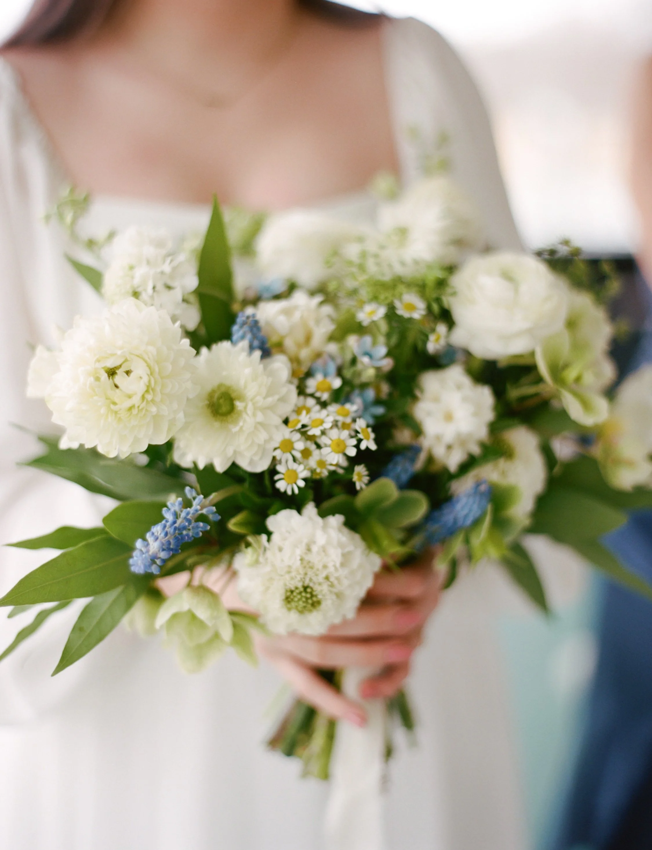 Person holding a bouquet of white, blue, and yellow flowers with green leaves, blurred background