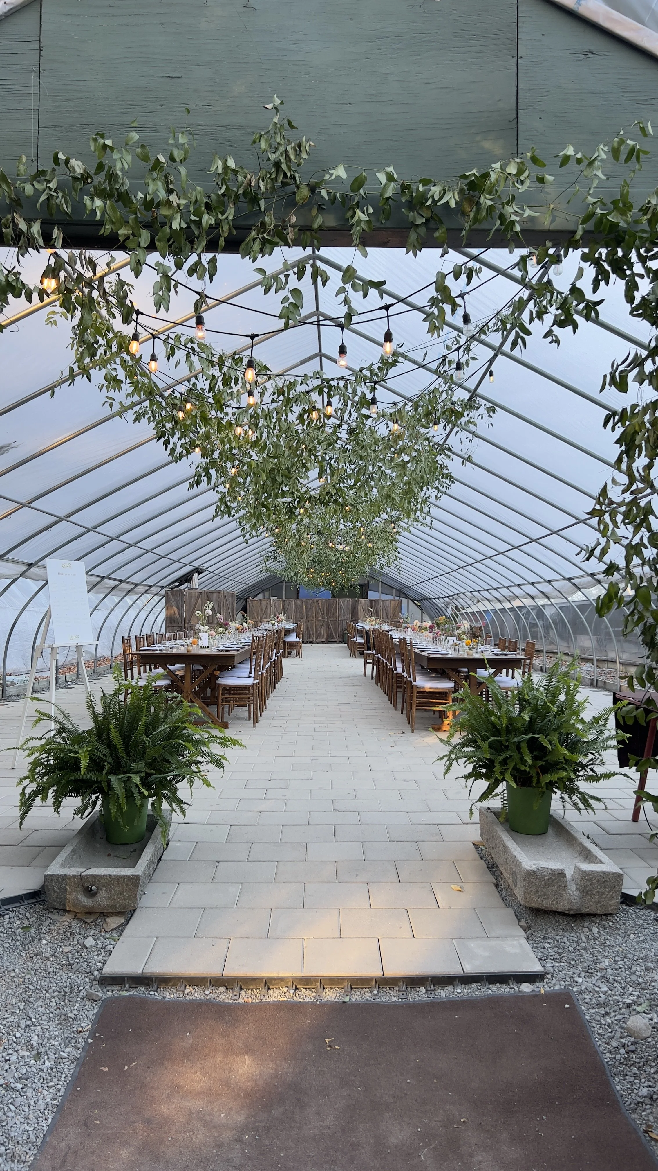 Decorated event space inside a greenhouse with long dining tables, string lights hanging from the ceiling, potted plants at the entrance, and a wooden stage at the far end.