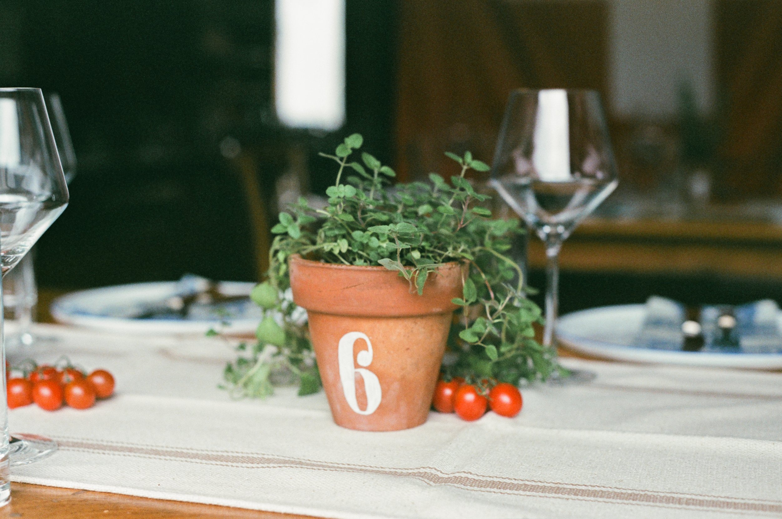 A dining table with a terracotta pot with a green leafy plant, cherry tomatoes, and tableware including wine glasses and plates.