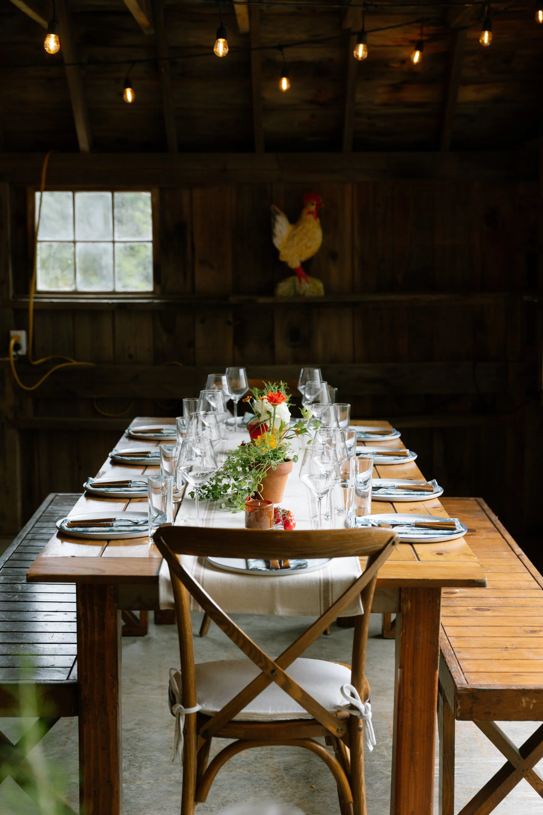 A rustic wooden dining table set with white plates, wine glasses, water glasses, and silverware, decorated with potted flowers, inside a wooden barn with string lights hanging from the ceiling and a chicken decoration on the wall.