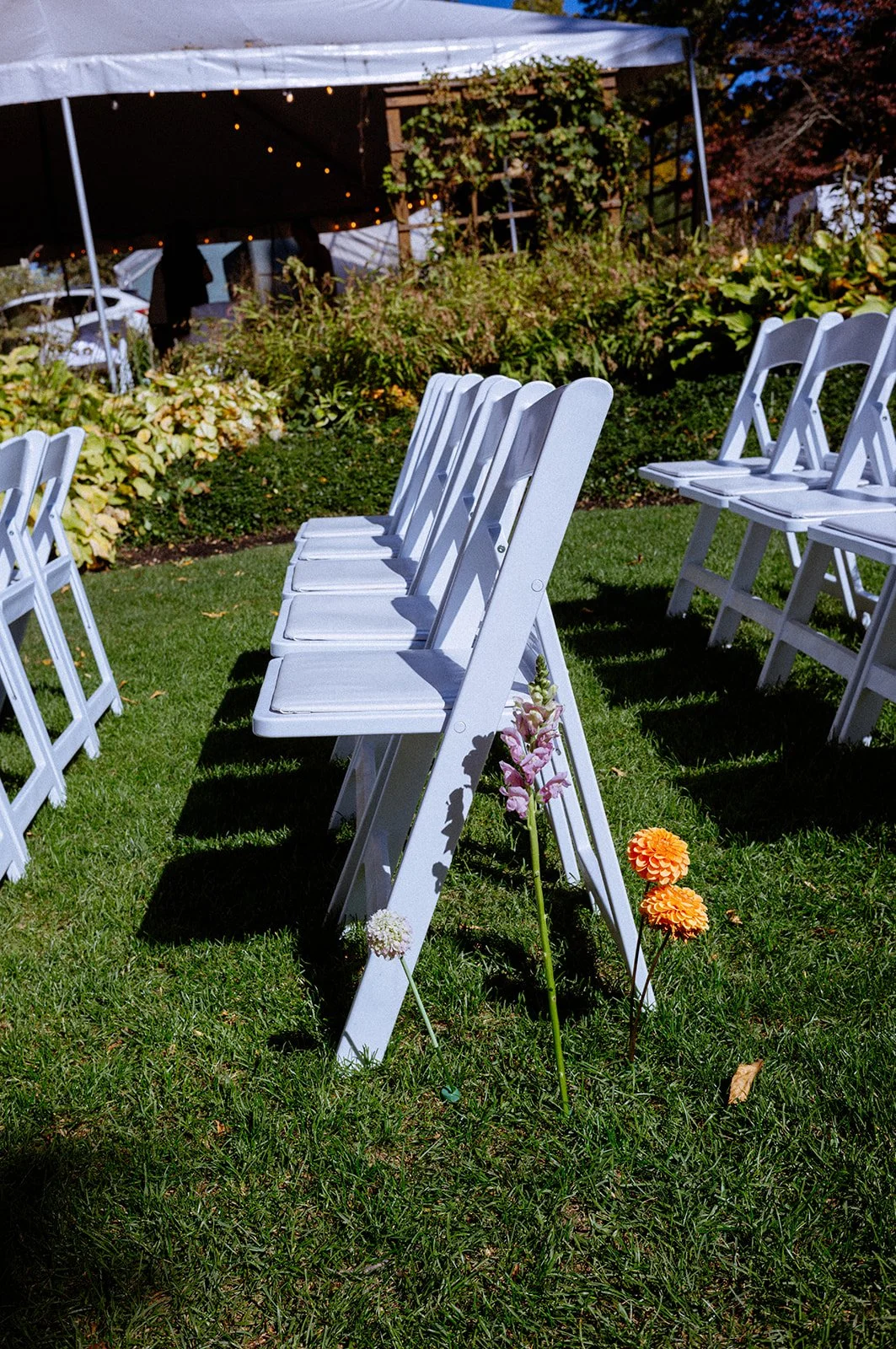 White folding chairs arranged outdoors on green grass, decorated with pink and white flowers at the base, with a tent and gardens in the background.