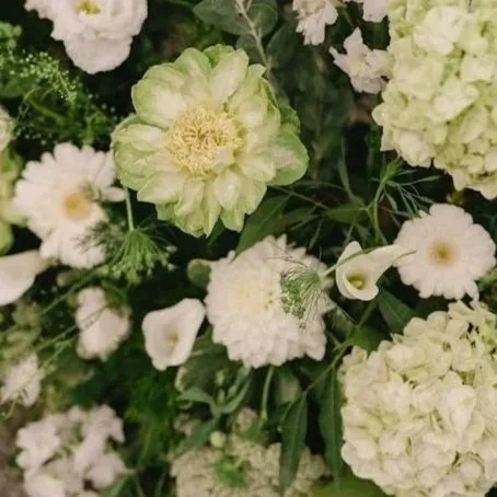 Close-up of white and light green flowers, including hydrangeas and other blooms, with green foliage.