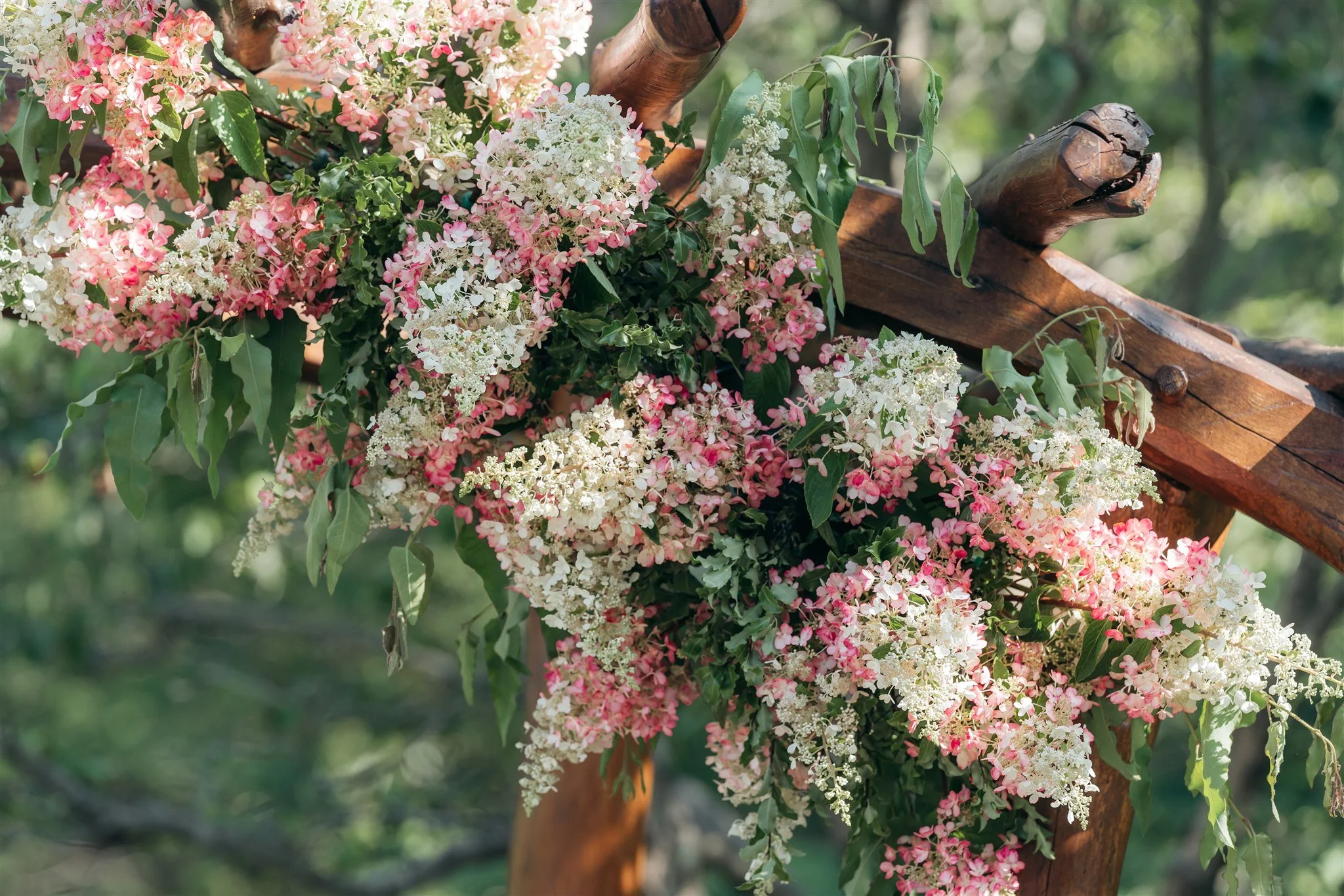 Close-up of pink and white flowers with green leaves attached to a wooden archway in an outdoor setting.