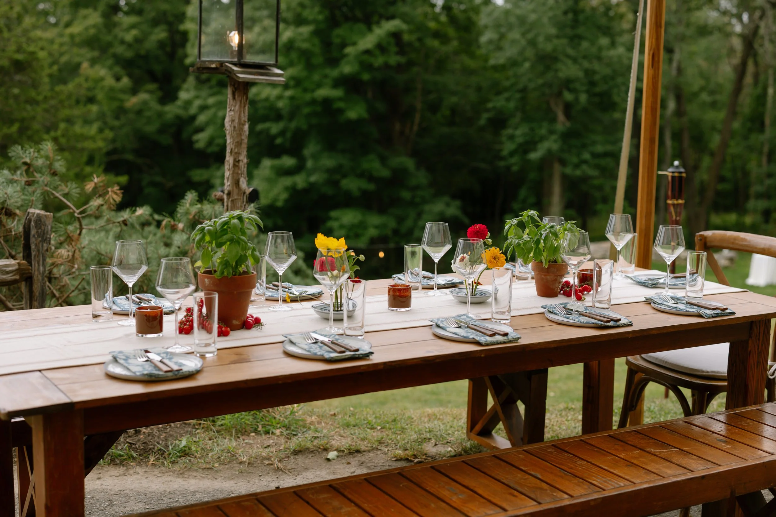 Outdoor dining table set with plates, glasses, utensils, potted plants, and small candles, surrounded by greenery.