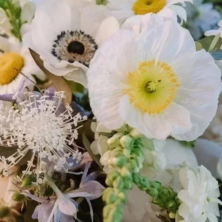 Close-up of various white and cream-colored flowers, including poppies with yellow centers, daisy-like flowers, and intricate floral blossoms in a bouquet.