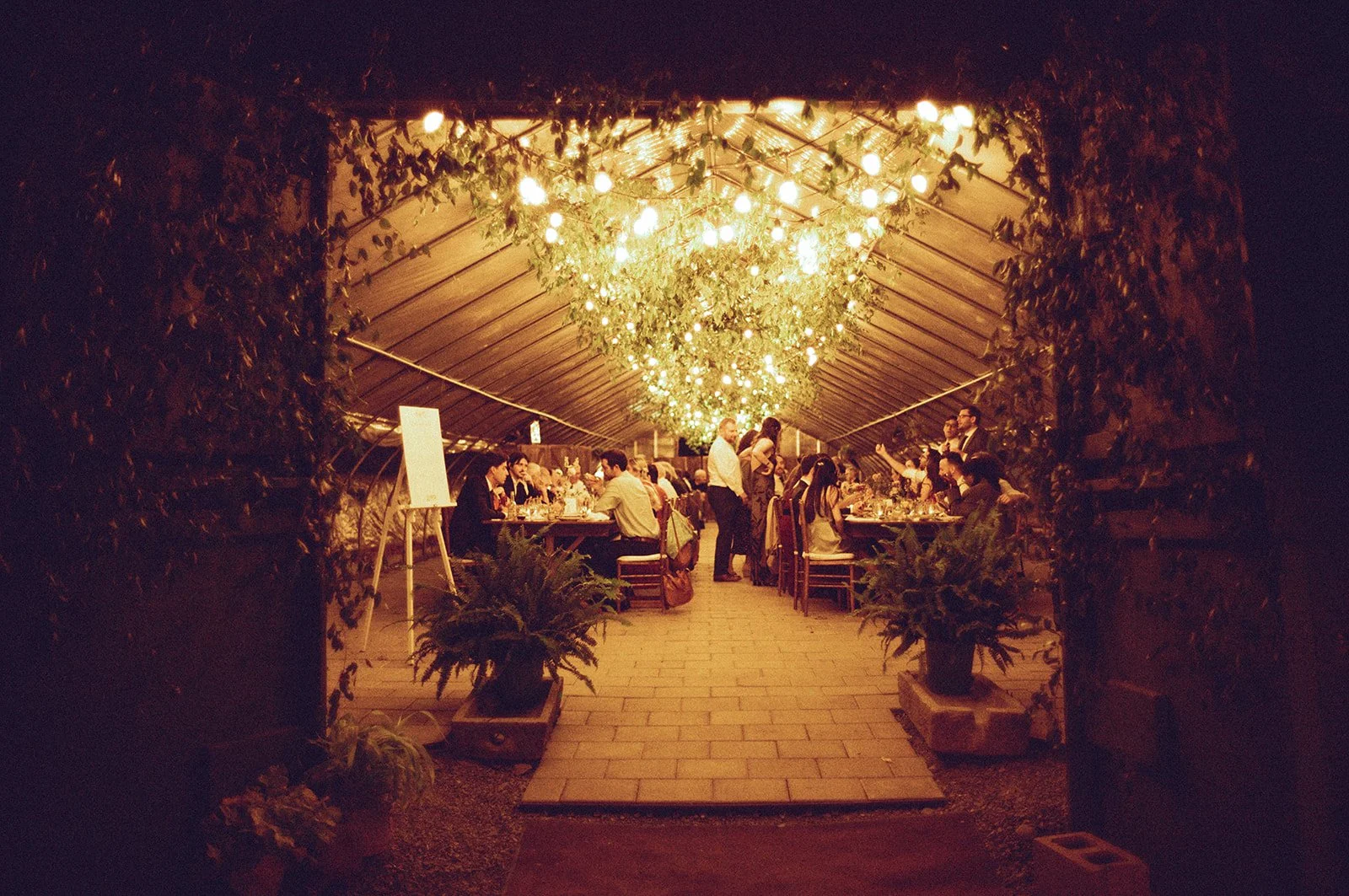 A lively indoor event space with people dining at tables under a ceiling decorated with hanging string lights, surrounded by lush green plants.
