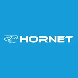 hornet.jpg