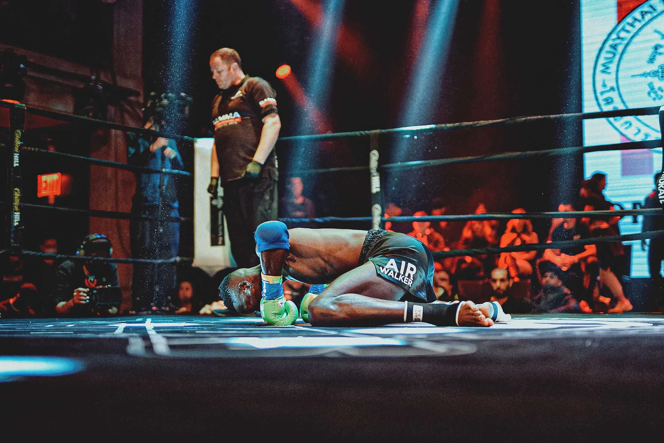 IMG_0619-Gravity-Rose-1 Ex.jpg