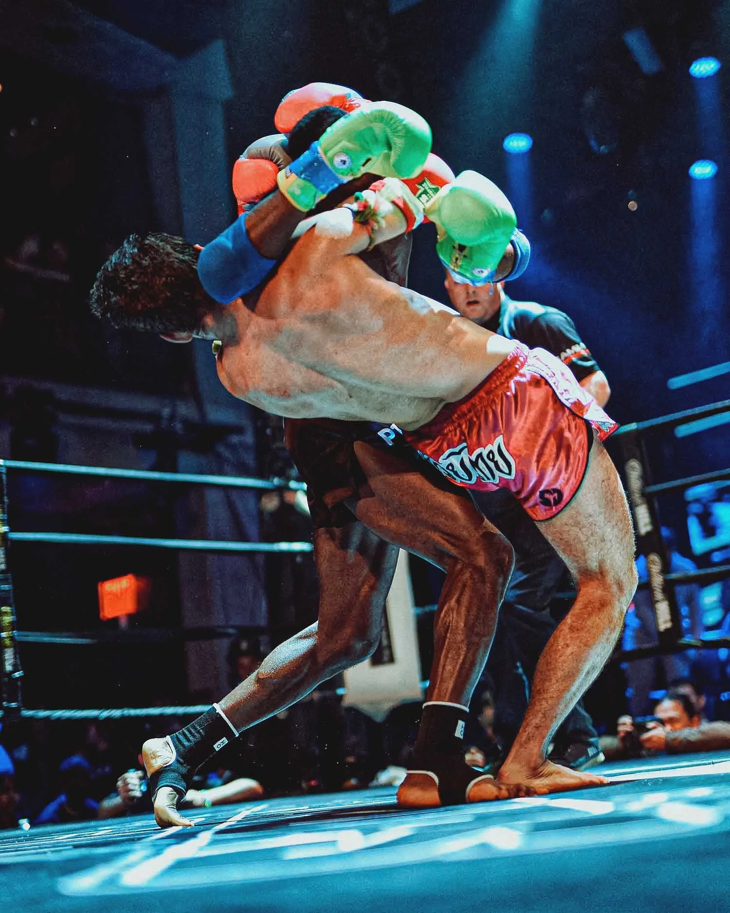 2022-12-17 00.29.41 Gravity-Rose-1 .jpg