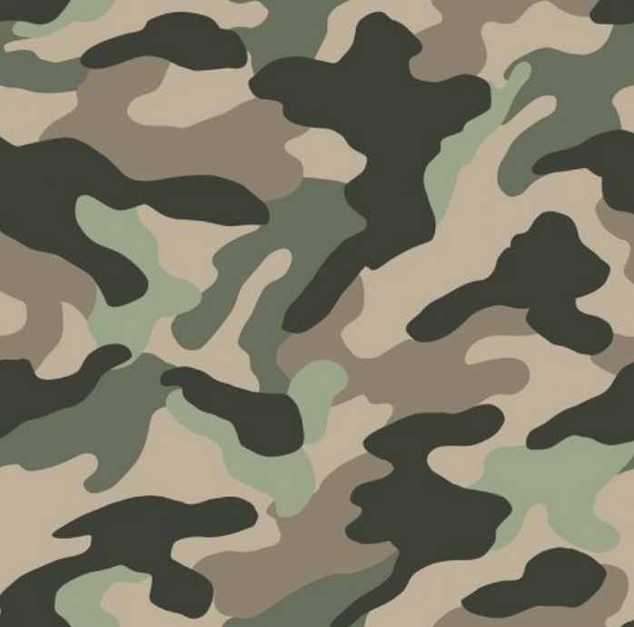 Multicolored dinosaur camouflage print