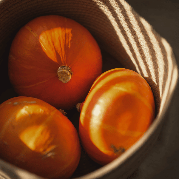 Kürbis Rezeptideen für den Herbst