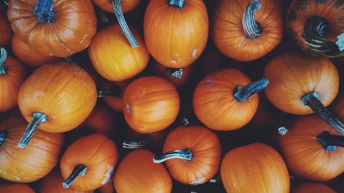 5 Tips for a Safe Halloween