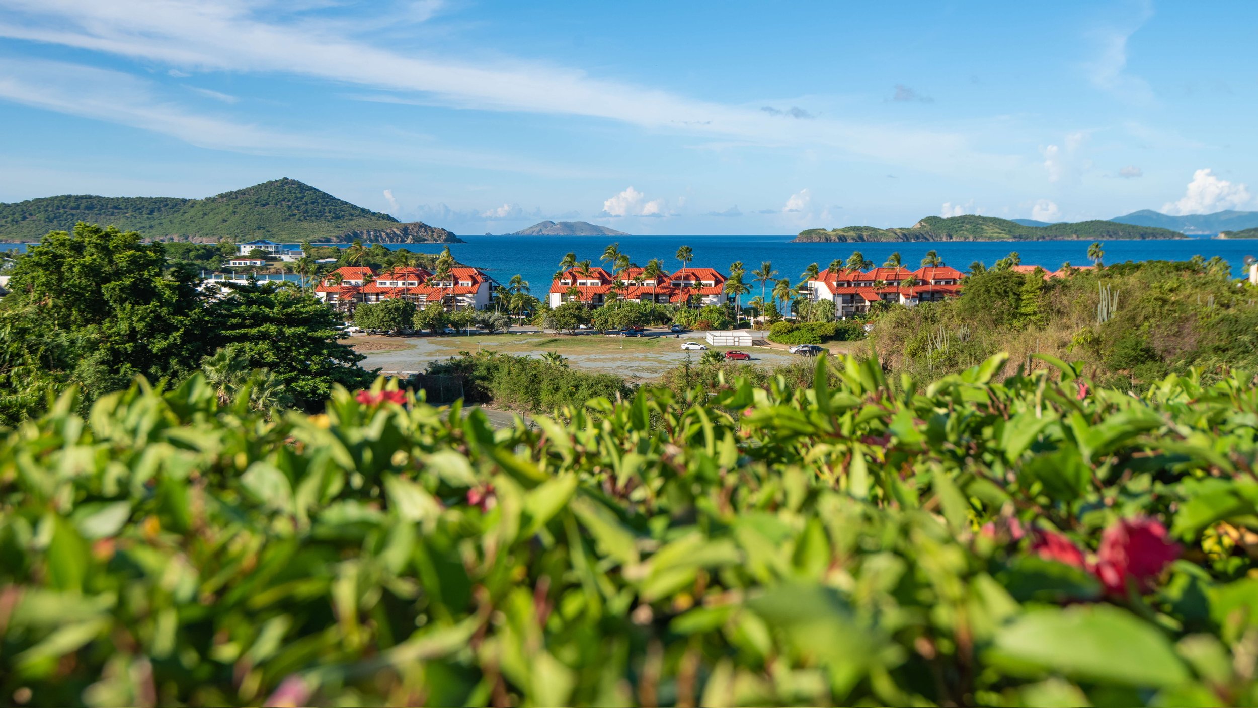 Copy of _PAS2283-2.JPEG