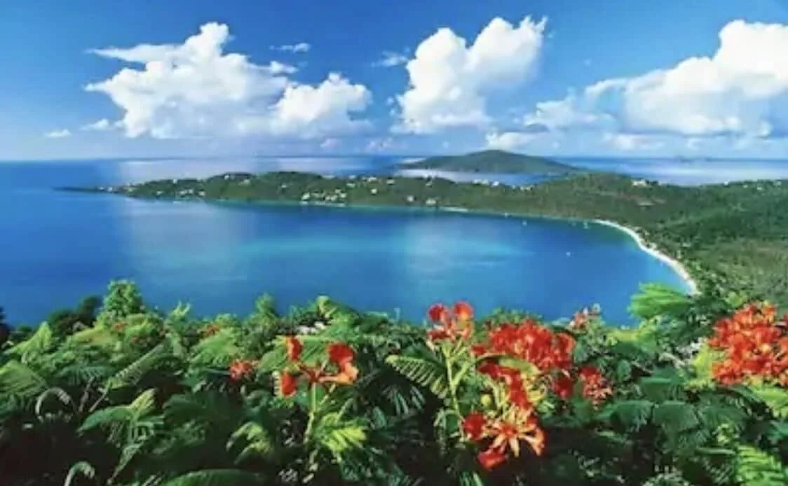 Elevated View Over Magens Bay – Iconic St. Thomas Scenery