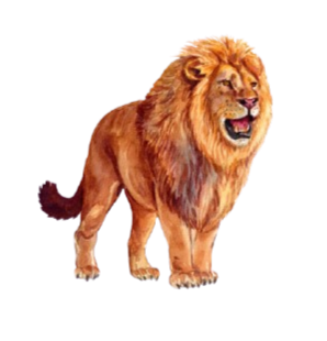 painted image of roaring lion