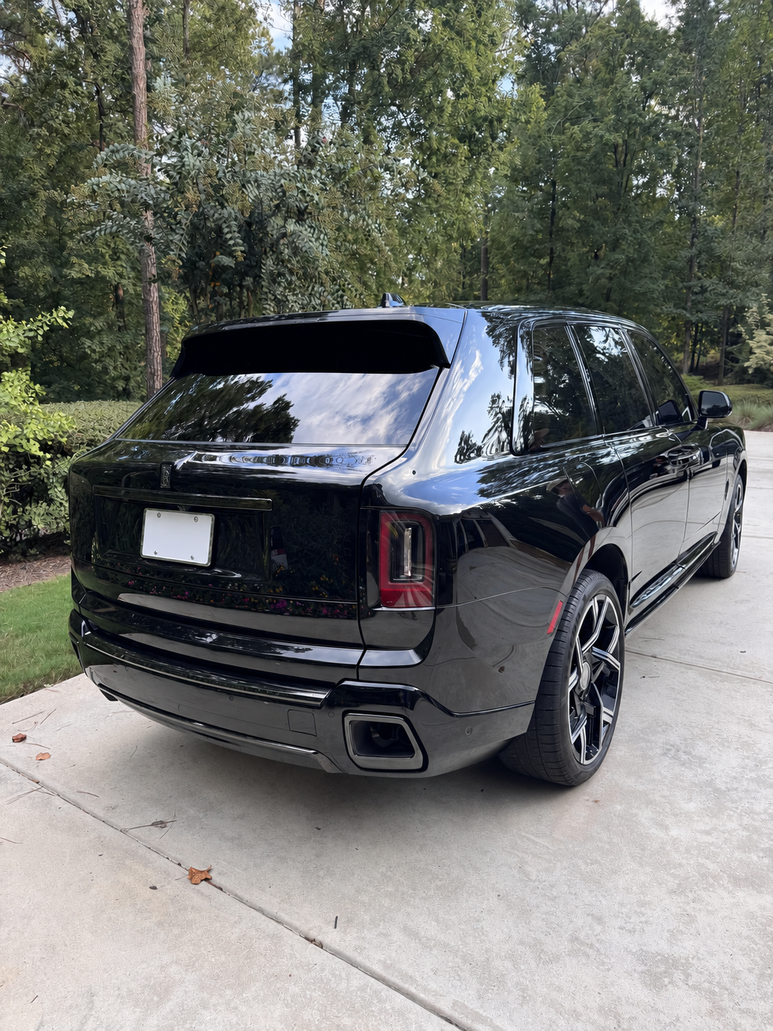 07-cullinan-rear-plate-removed.png