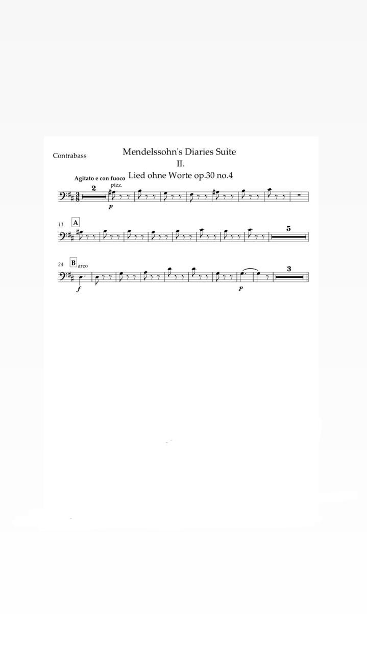Felix Mendelssohn: “Letters in Music” Cycle. Song op.30 no.4 h-moll - (Contrabass part)