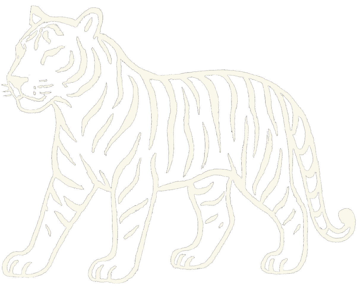 Line drawing of a tiger with stripe patterns.