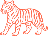 Illustration of a tiger with orange and black stripes