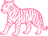 Pink tiger illustration with black stripes