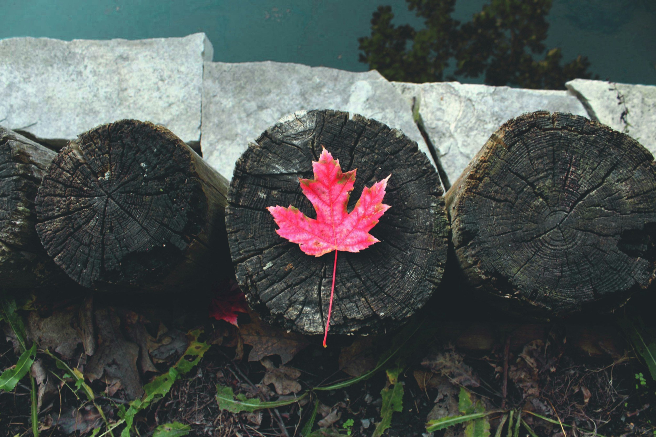 Create Competitive Advantage by Aligning Brand Strategy and Value Proposition
