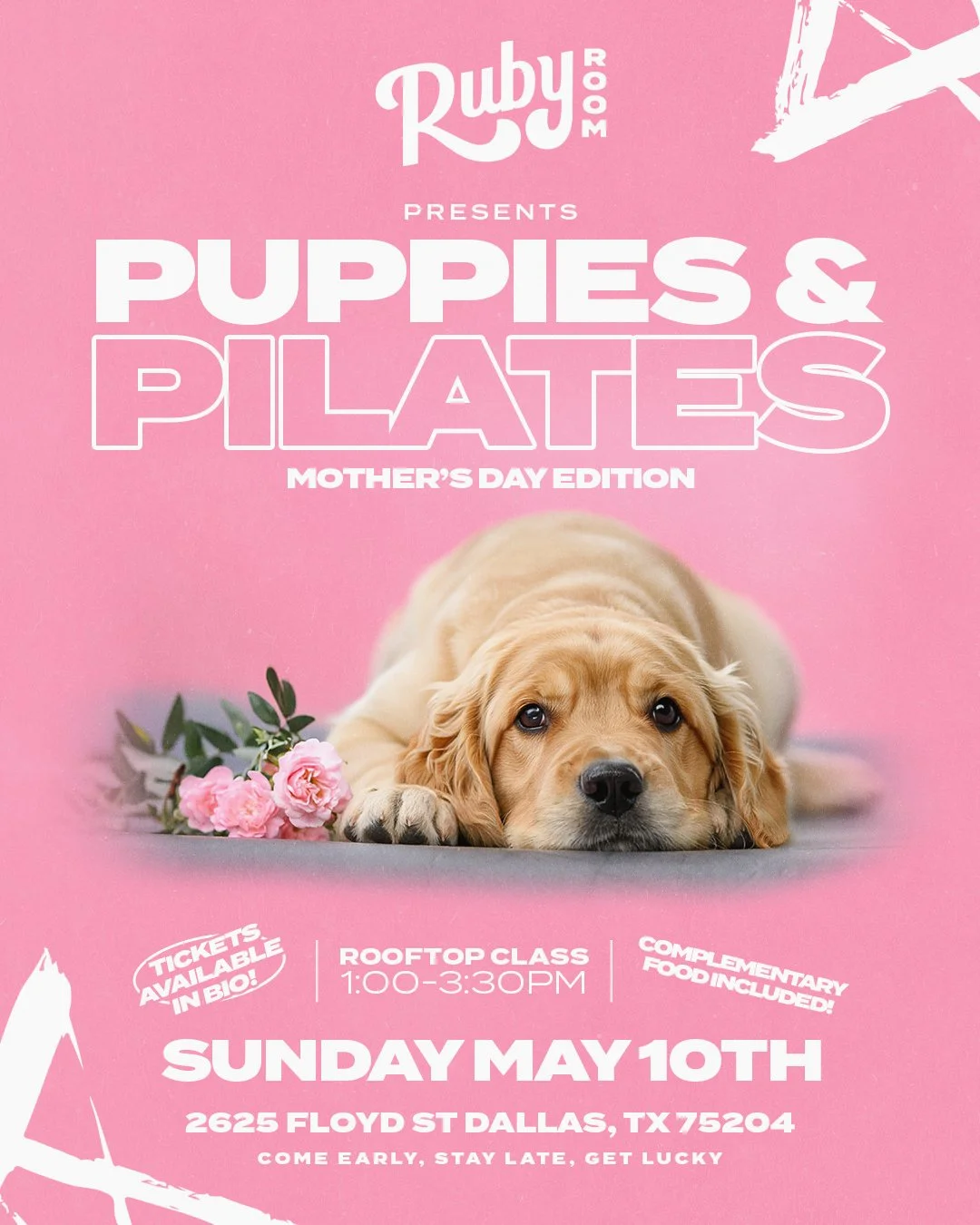 5-10_puppiesandpilates_glsdtx_tl.jpg
