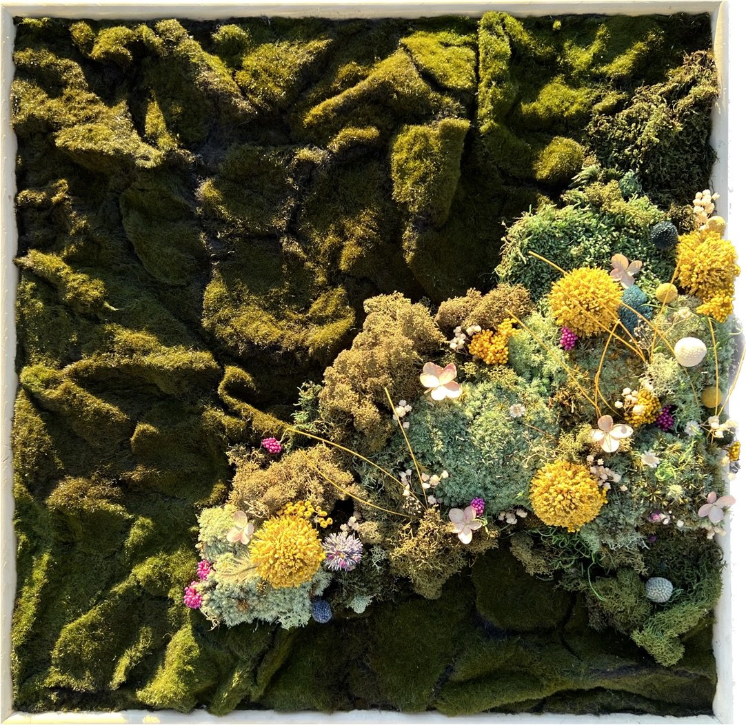 yellow, fuschia, blue and white flowers with light green mosses on dark green moss
