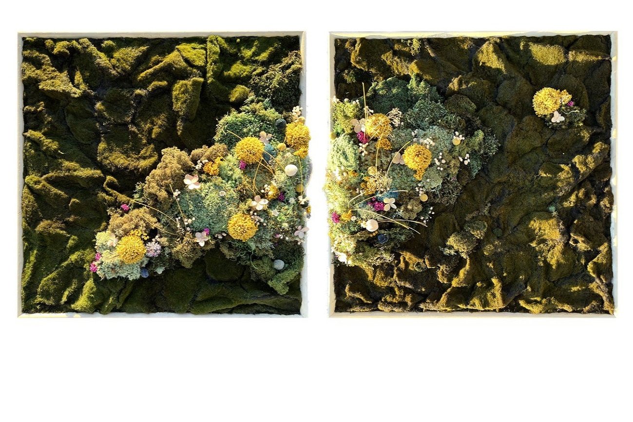 diptych dark green moss background with bright multicolored flowers in center