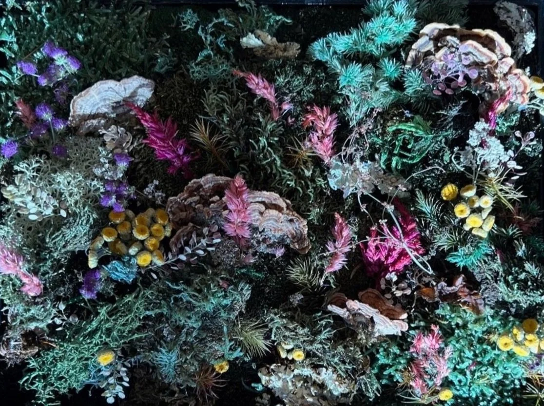 Something Pretty — ANGELA JUSTICE | FORESTHETIC