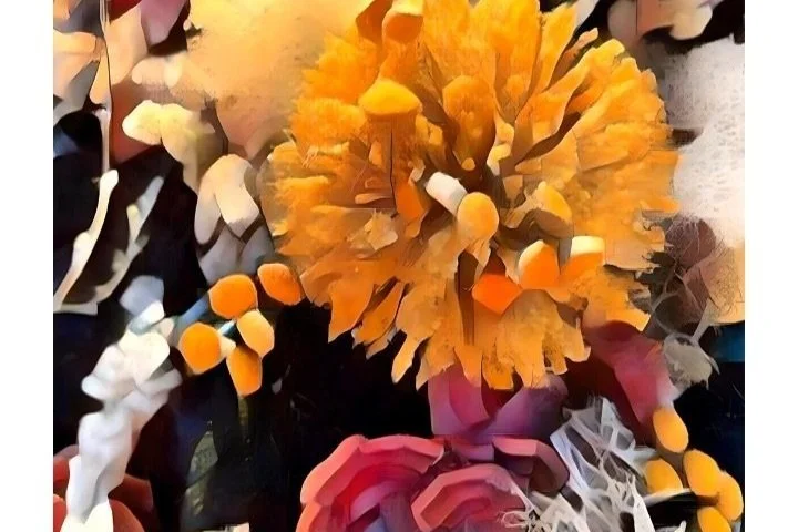 Lucid Dream — ANGELA JUSTICE | FORESTHETIC