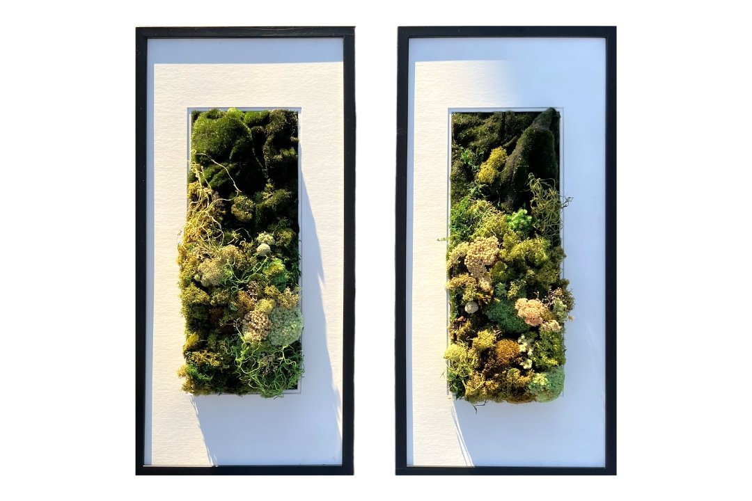 profile of 3d moss art diptych featuring variety of green mosses and white flowers in black frame with white mat