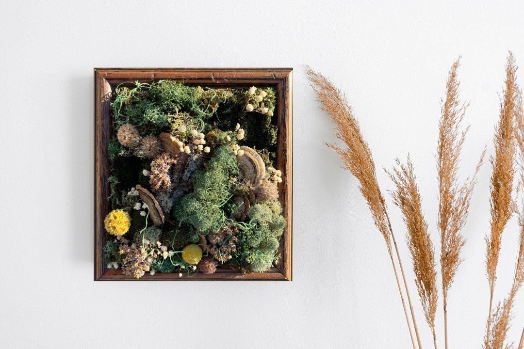 moss art in oak frame yellow and white flowers lichens on wall