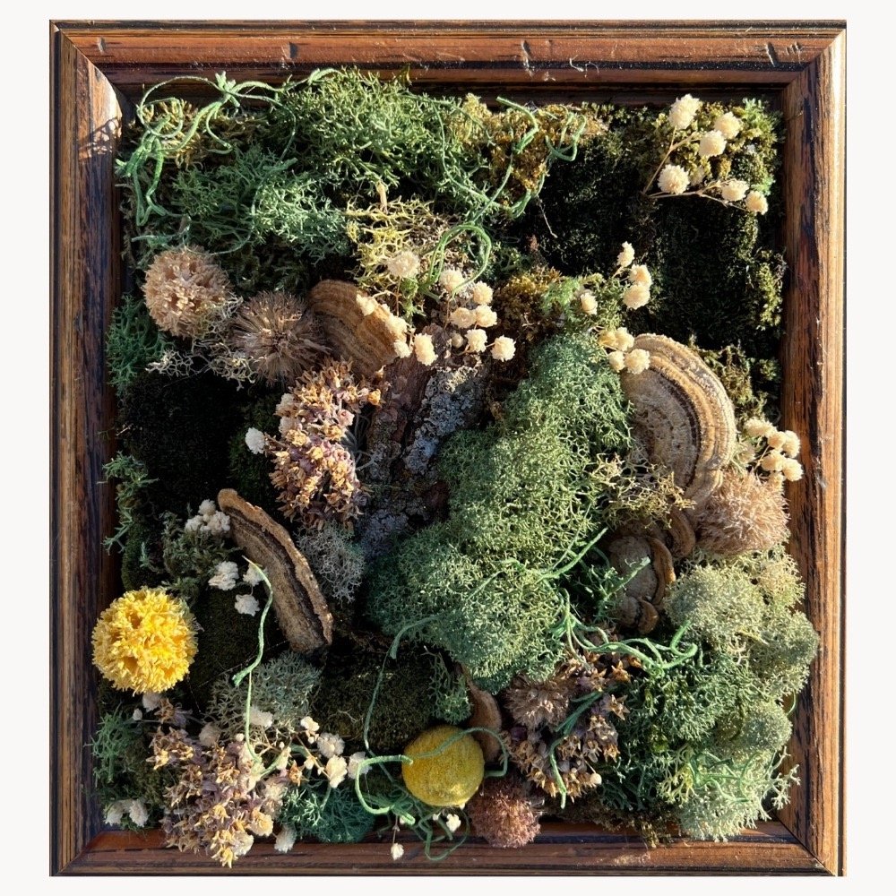 moss art in oak frame yellow and white flowers lichens