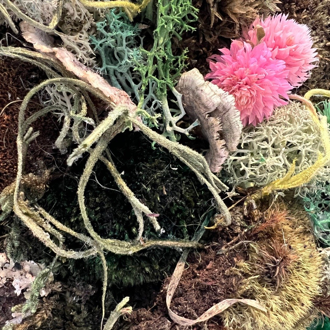 close up of foresthetic moss art piece bright pink flowers