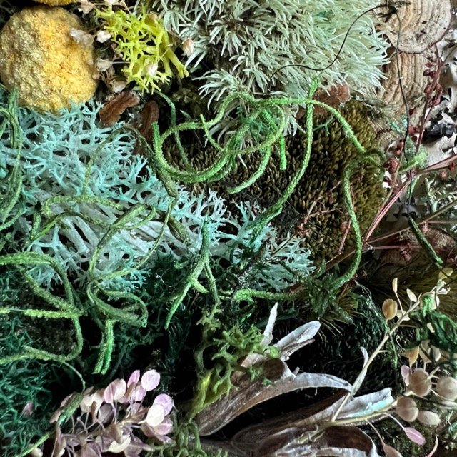 Custom Moss Wall Art – Organic Close-Up