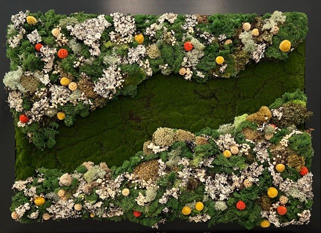 Custom Moss Art Not Crazy.jpeg