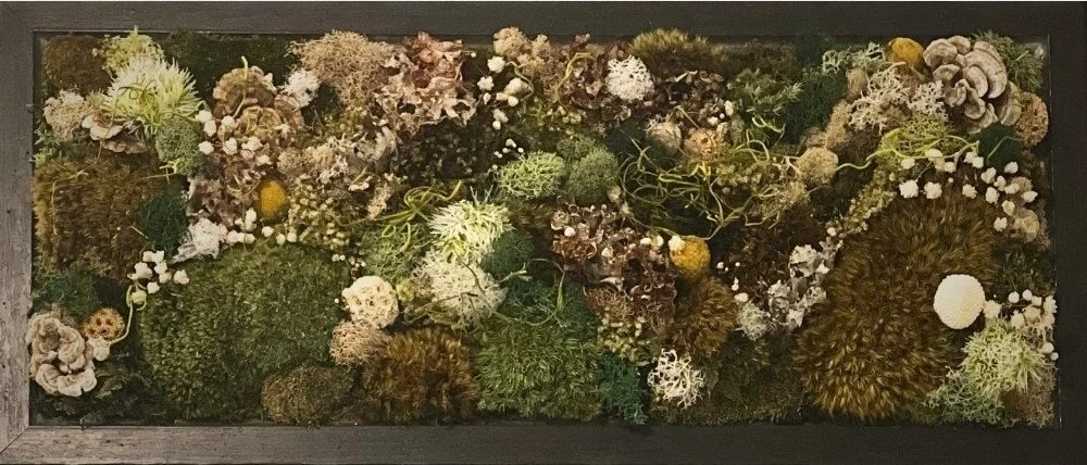 Stephanie's commission.jpg