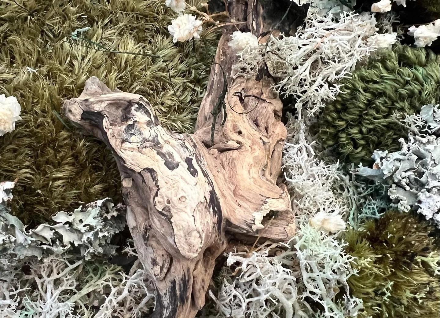Driftwood butterfly.jpeg