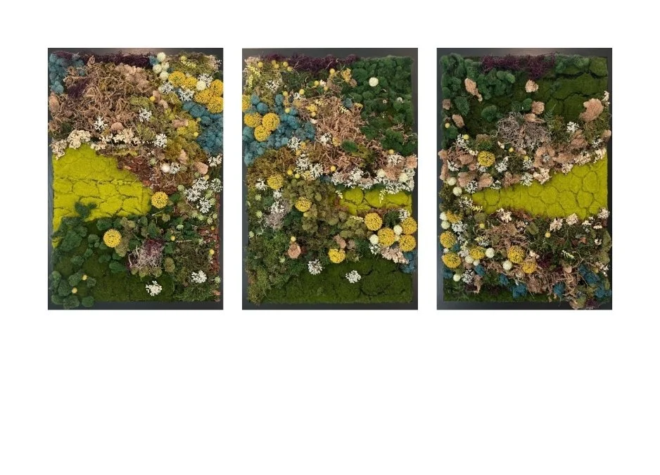 Sydney Triptych (1).jpg