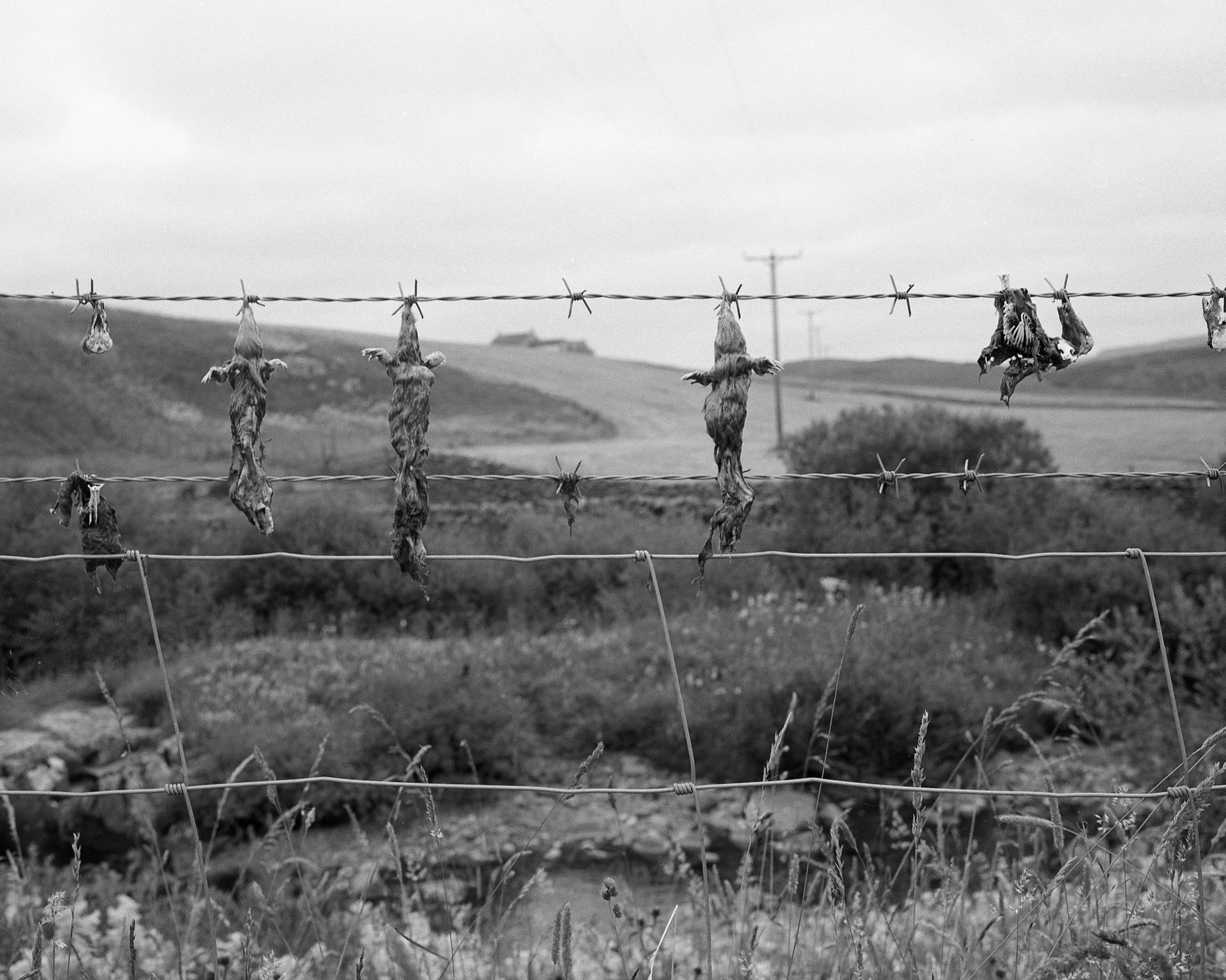 pennine way608.jpg