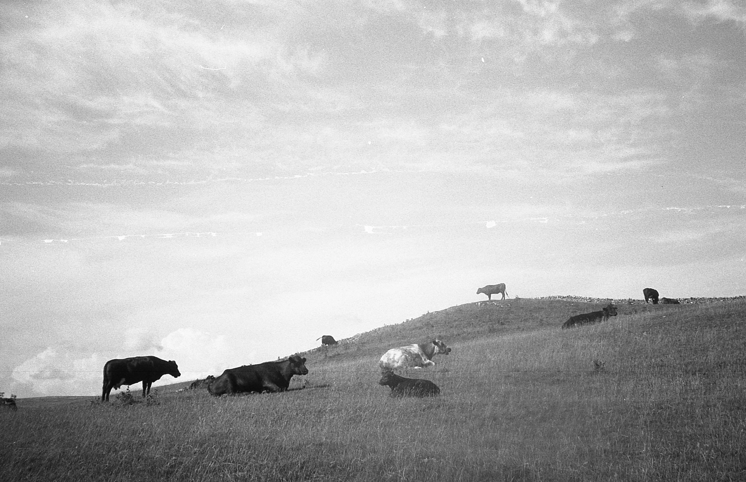 pennine way902.jpg
