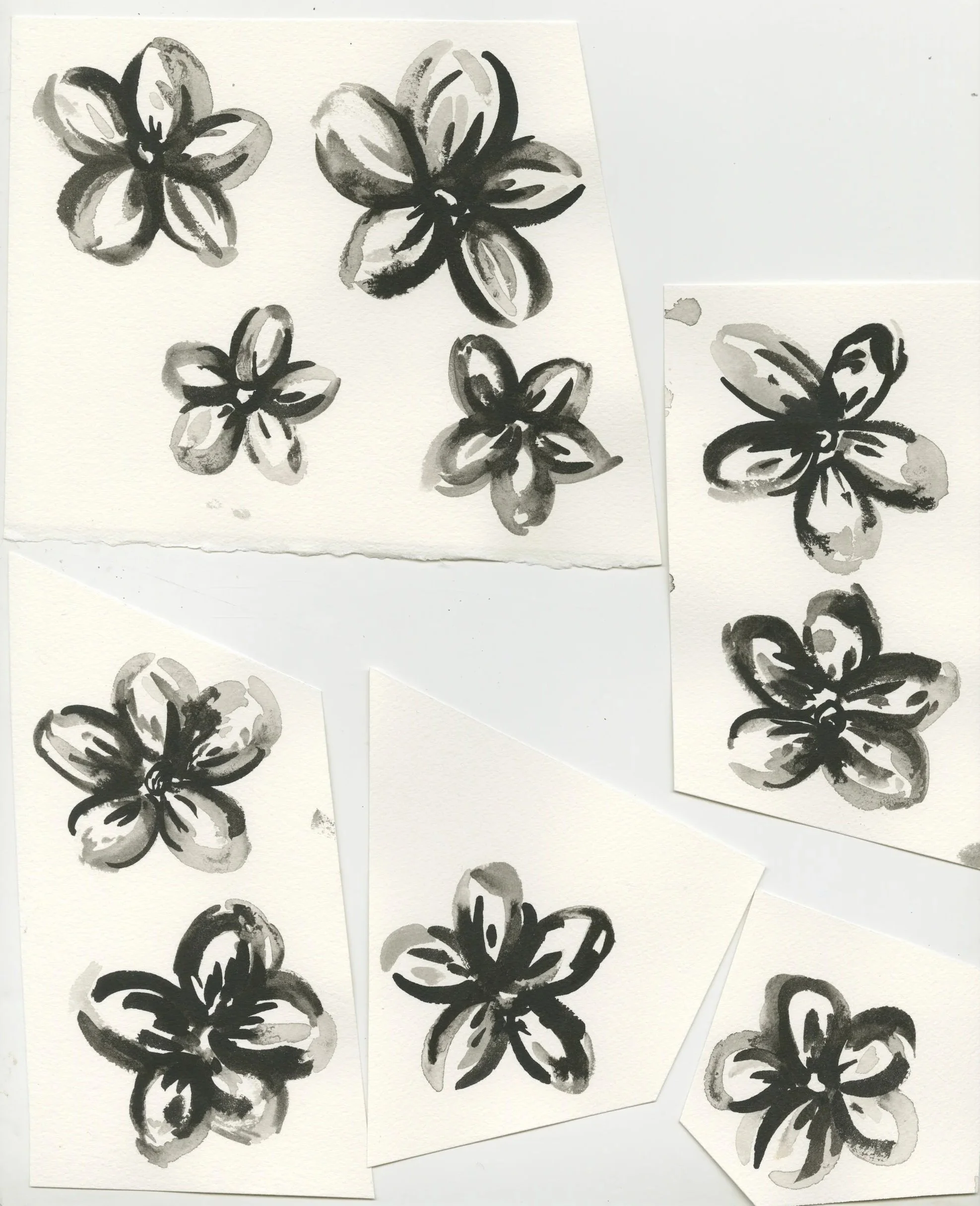 Screenshot 2024-01-14 at 4.36.49 PM.jpg